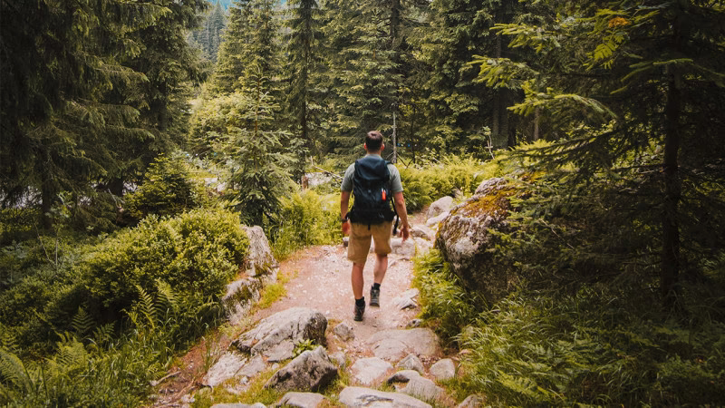 un homme randonne en forêt