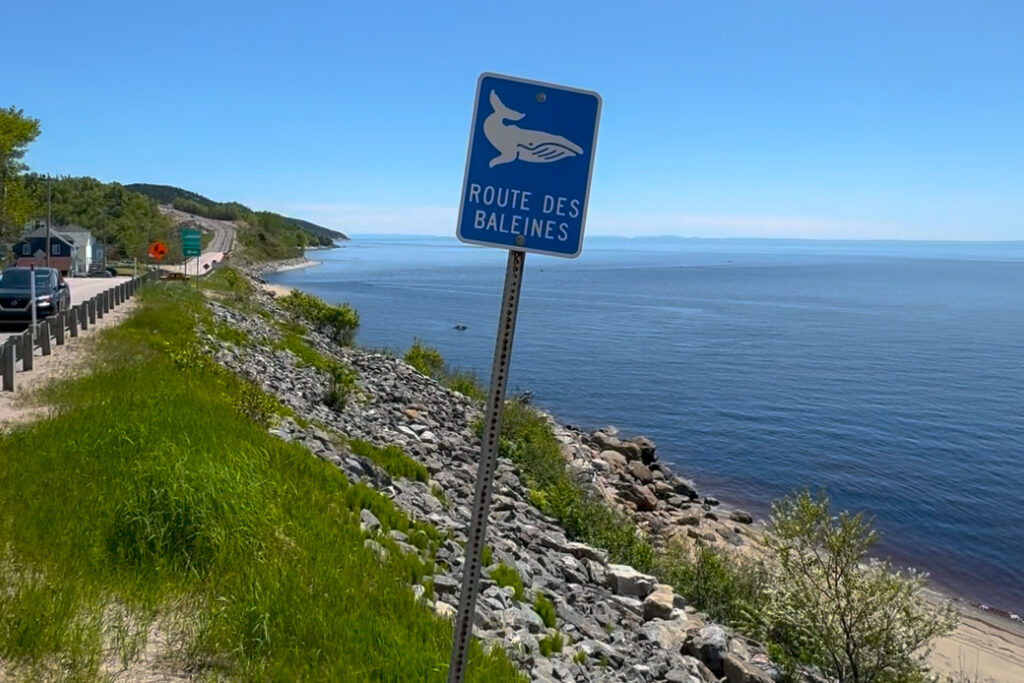 La route 138, la route des baleines vers Tadoussac