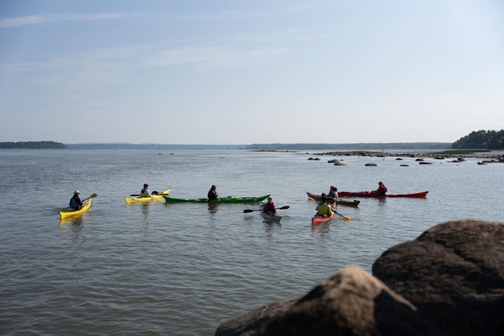 Groupe de kayakistes sur le fleuve Saint-Laurent dans la région de Lotbinière