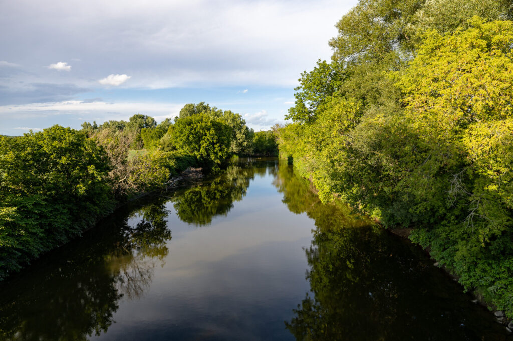 Rivière Coaticook bordée d'arbres près du pont Spafford-Drouin