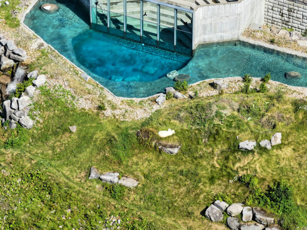 Vue aérienne du bassin de l'habitat des ours blancs au Zoo sauvage de Saint-Félicien