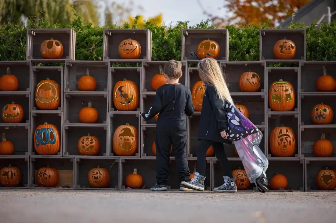 Enfants costumés devant un mur de citrouilles sculptées au Zoo de Granby, une des activités Halloween au Québec