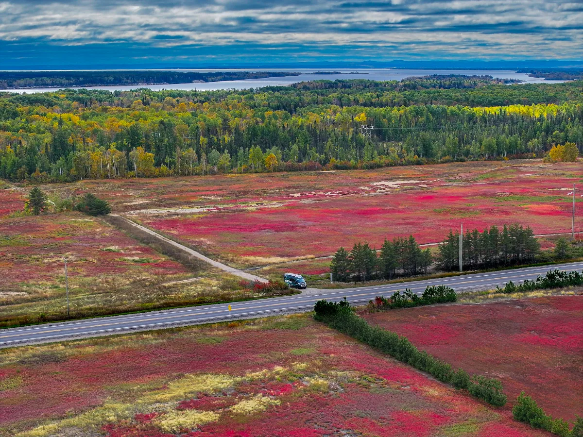 Bleuetières rouges vues du ciel près de Saint-Félicien, avec la route et un lac à l'horizon