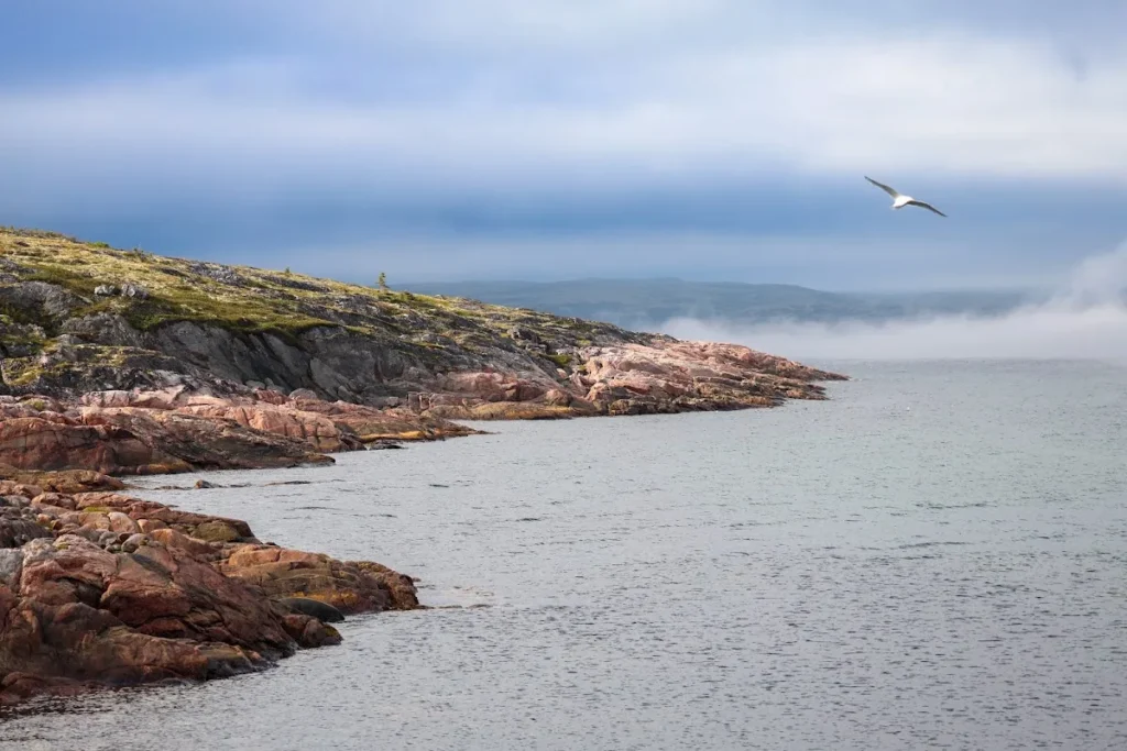 Côte rocheuse du Labrador sous un ciel gris, en Expédition 51