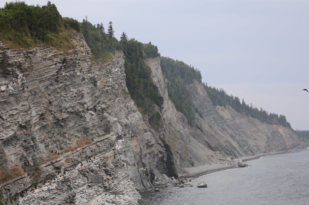 Parc national Forillon : l&agrave; o&ugrave; la mer rencontre la montagne