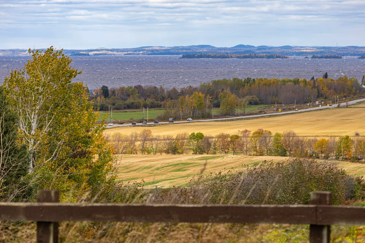 Vue sur un grand lac et les champs d'automne depuis une halte entre La Doré et la réserve faunique Ashuapmushuan