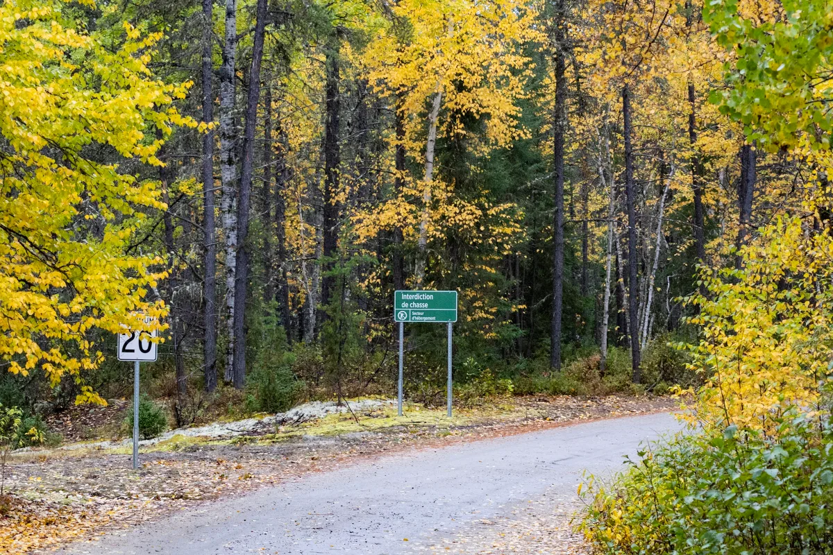 Chemin forestier de gravier sous les feuillus jaunes dans la réserve faunique Ashuapmushuan