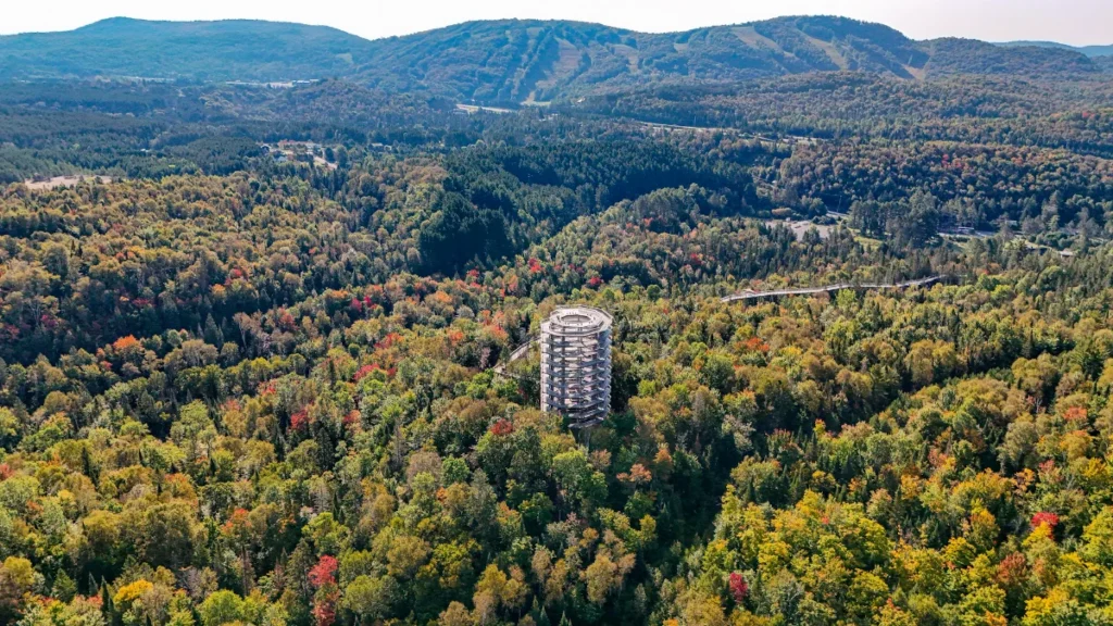 Tour du Sentier des cimes Laurentides au milieu de la forêt d'automne, mont Tremblant au loin