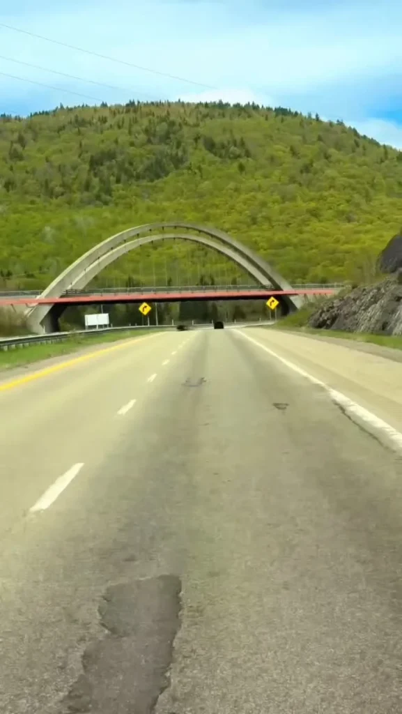 Viaduc en arche au-dessus d'une route bordée de collines boisées